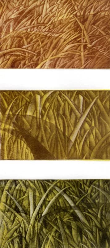Ad Infinitum series, 2002 — 5