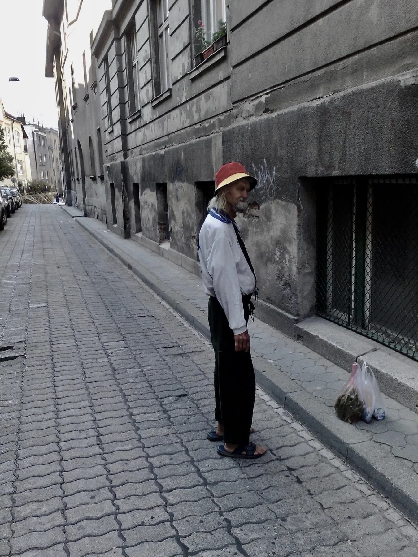 Alone in the world, 2016 — 2
