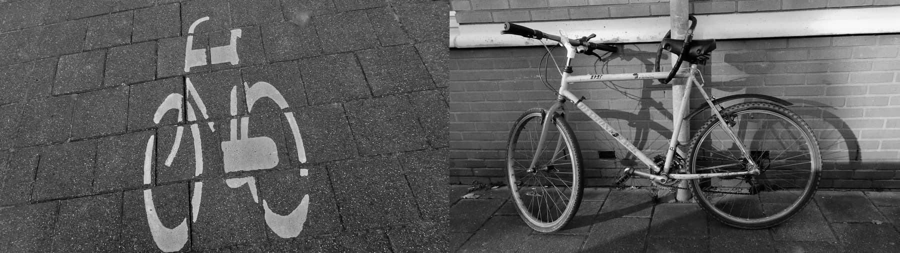 Evolution, 2016 — 2