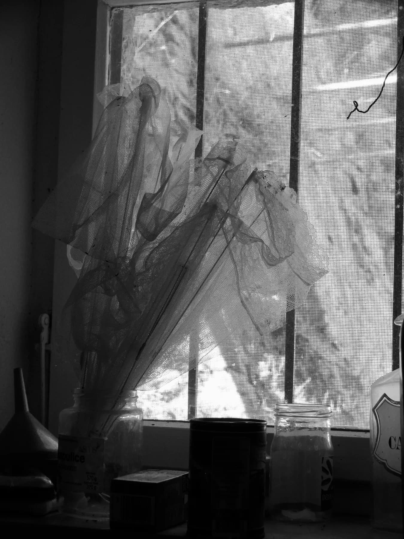 Front window, 2014 — 2