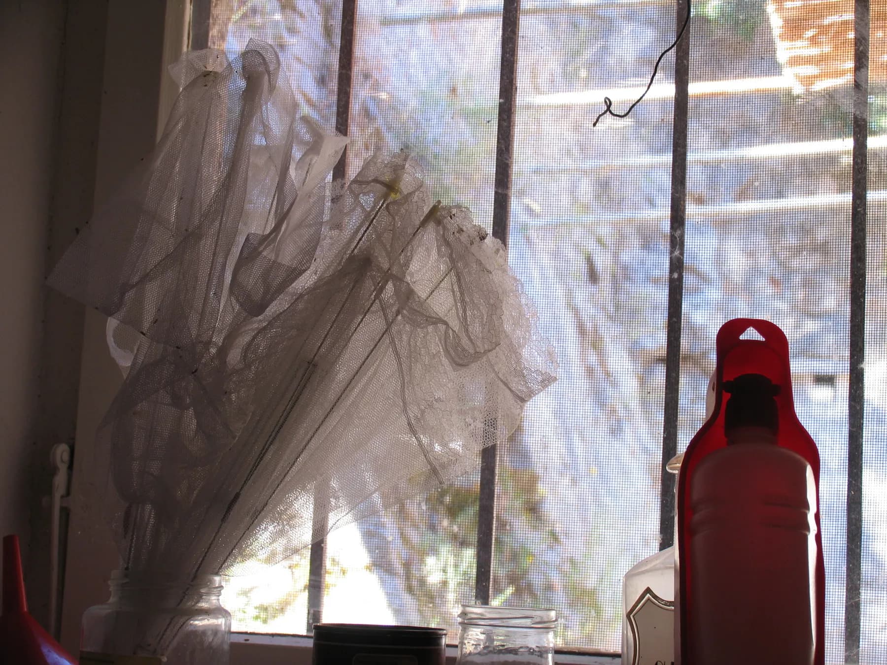 Front window, 2014 — 3
