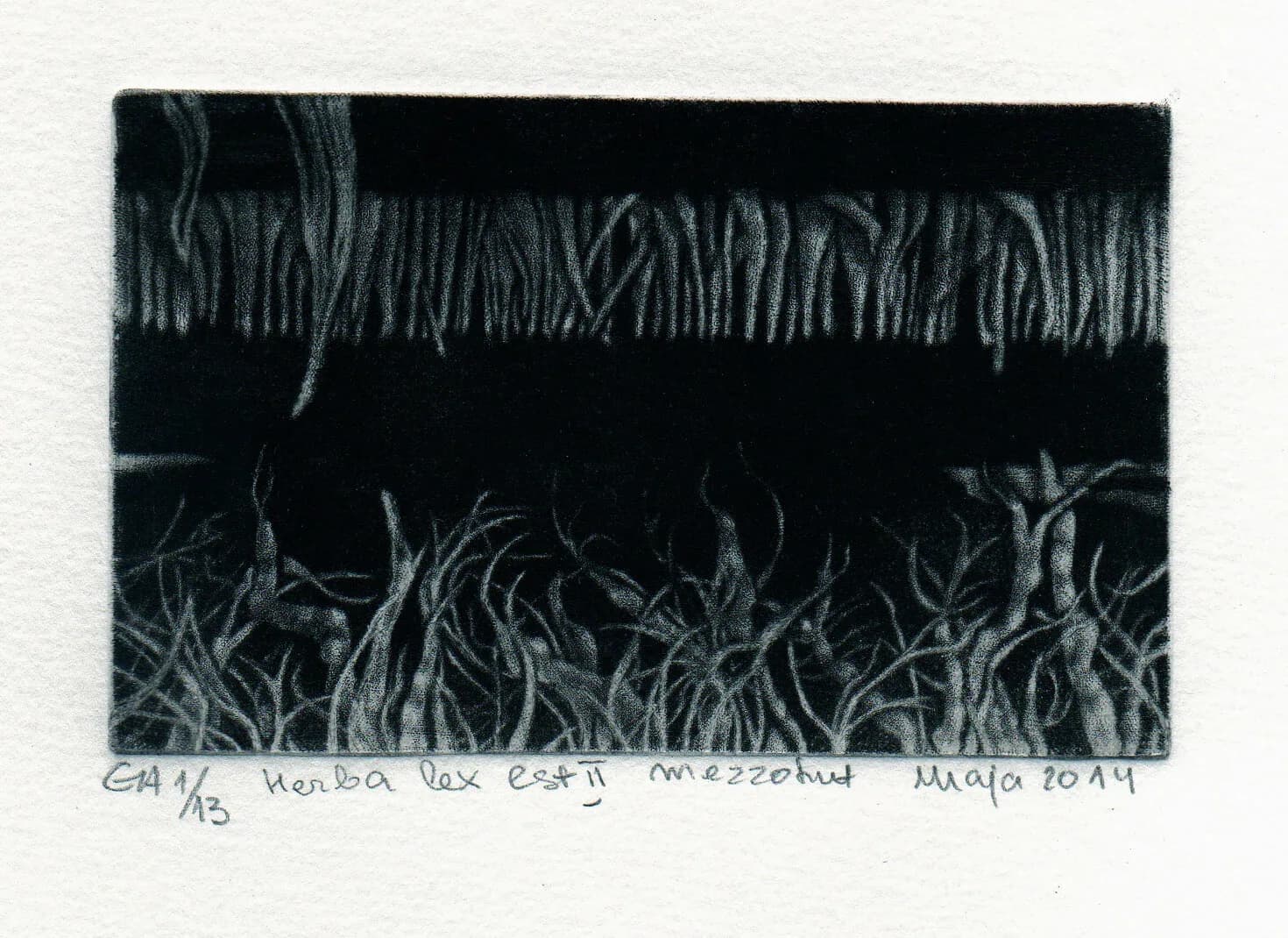 Herba Lex est — 2