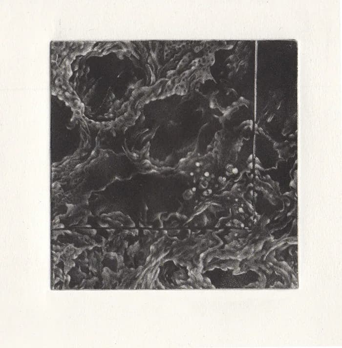 Mutatio series, 2011 — 2