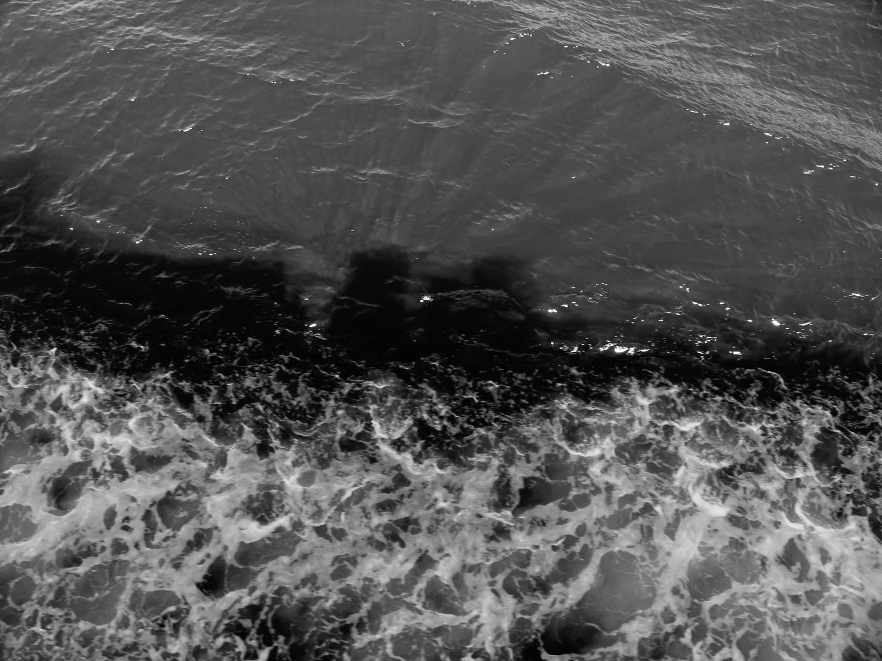 Natura, 2015 — From calm to storm, 10