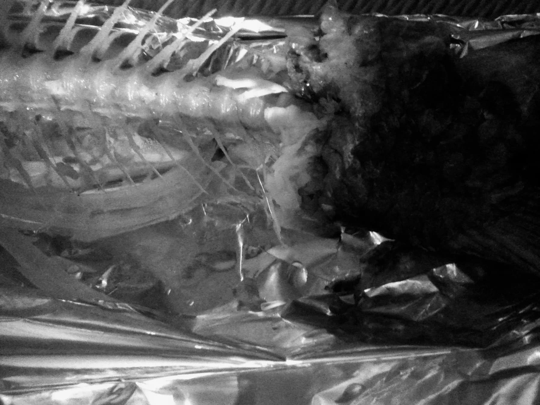 Natura, 2015 — Skeleton, 17