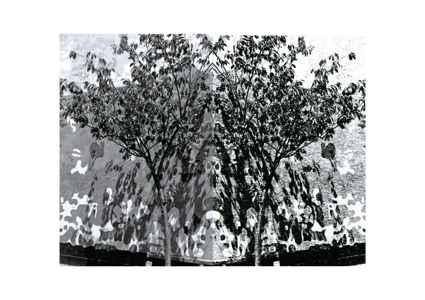 Photo series I, 2011 — 3