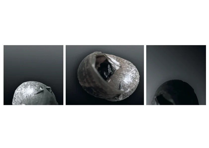Photo series I, 2011 — 6
