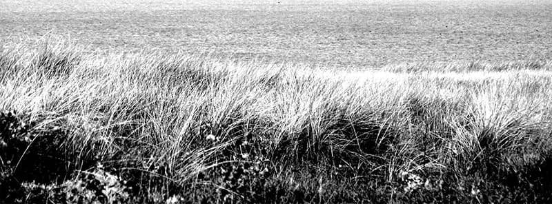Photo series sea, 2011 — 3