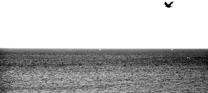 Photo series sea, 2011 — 5