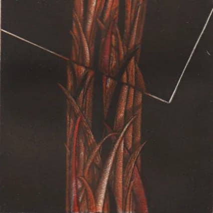 Triangle, 2010 — 8